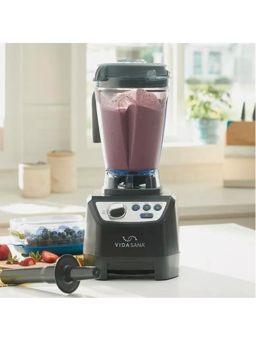 Brand NEW Princess House Vida Sana Electrics High-Power Blender, Model 4571